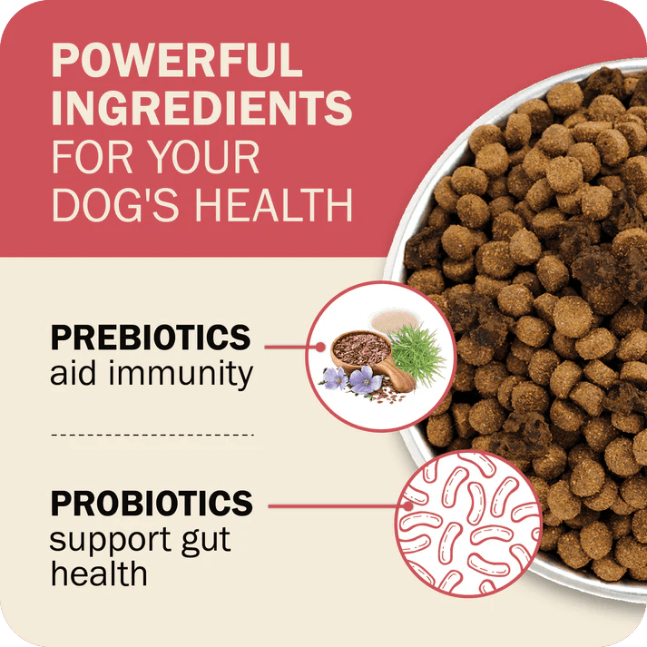 Redbarn Pet Products Powerfood Fusion Whole Grain Land Mix Beef Recipe Dry Dog Food - Talis Us