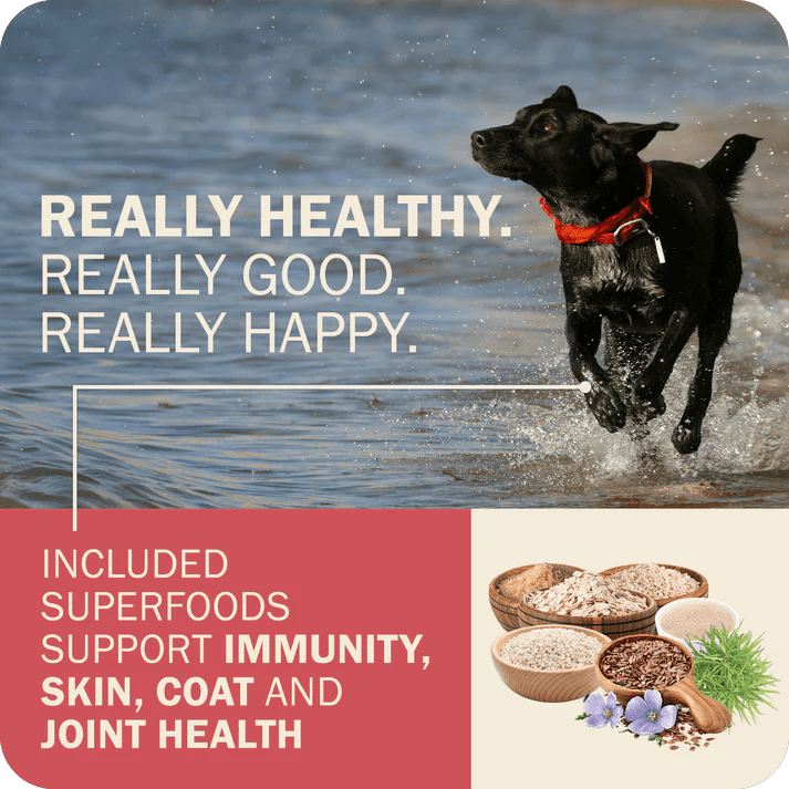 Redbarn Pet Products Powerfood Fusion Whole Grain Land Mix Beef Recipe Dry Dog Food - Talis Us