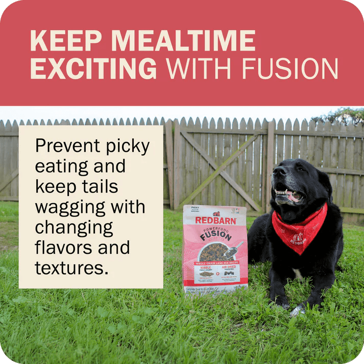Redbarn Pet Products Powerfood Fusion Whole Grain Land Mix Beef Recipe Dry Dog Food - Talis Us