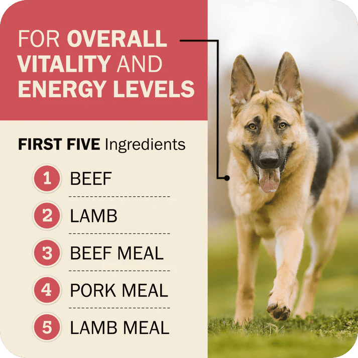 Redbarn Pet Products Powerfood Fusion Whole Grain Land Mix Beef Recipe Dry Dog Food - Talis Us