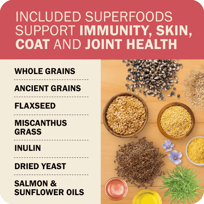 Redbarn Pet Products Powerfood Fusion Whole Grain Land Mix Beef Recipe Dry Dog Food - Talis Us