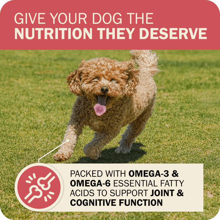 Redbarn Pet Products Powerfood Fusion Whole Grain Land Mix Beef Recipe Dry Dog Food - Talis Us