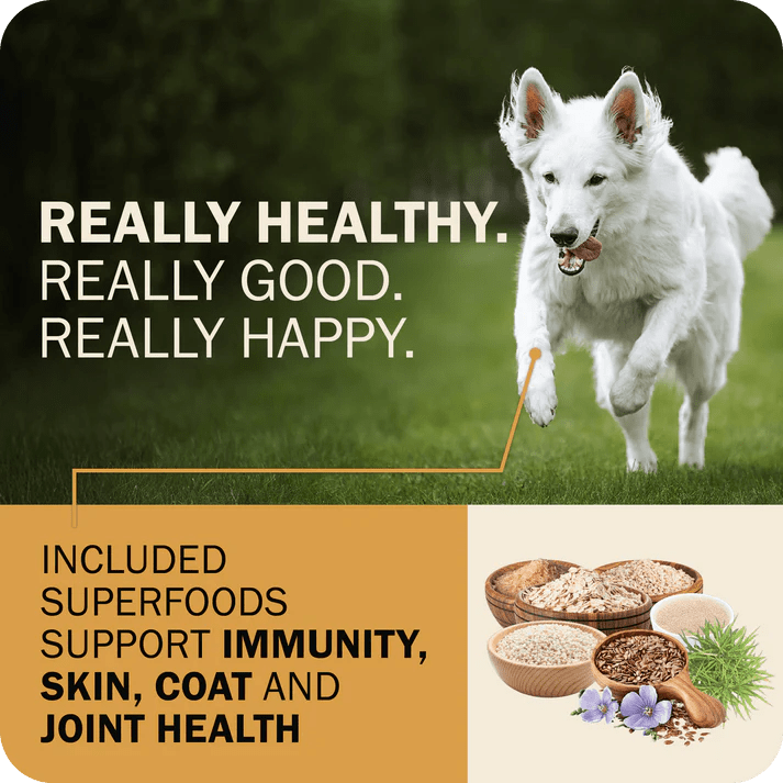 Redbarn Pet Products Powerfood Fusion Whole Grain Sky Mix Chicken Recipe Dry Dog Food - Talis Us