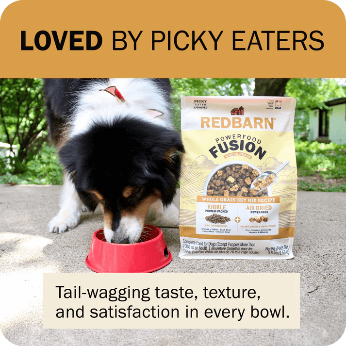 Redbarn Pet Products Powerfood Fusion Whole Grain Sky Mix Chicken Recipe Dry Dog Food - Talis Us