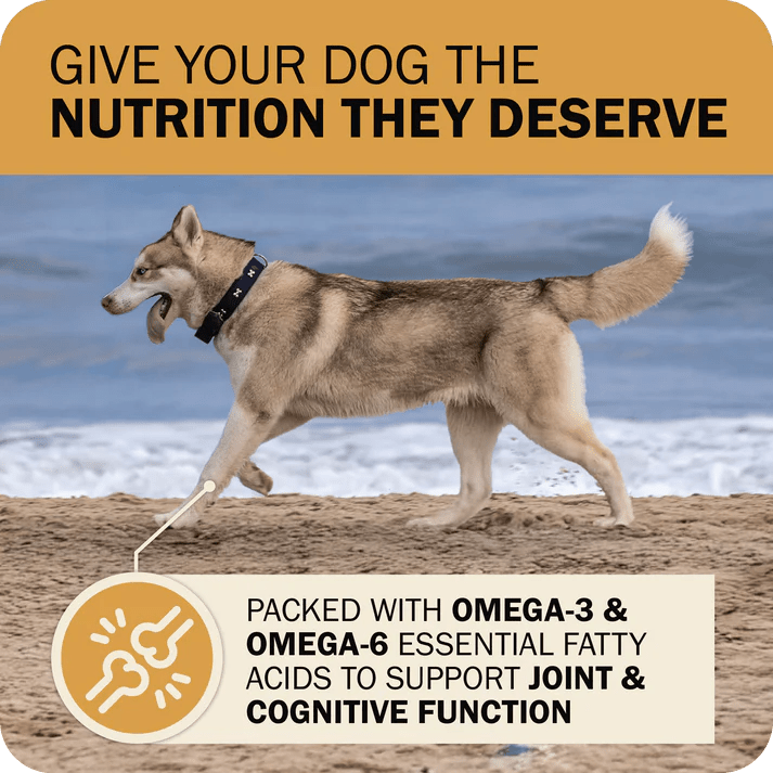 Redbarn Pet Products Powerfood Fusion Whole Grain Sky Mix Chicken Recipe Dry Dog Food - Talis Us