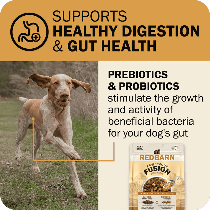 Redbarn Pet Products Powerfood Fusion Whole Grain Sky Mix Chicken Recipe Dry Dog Food - Talis Us