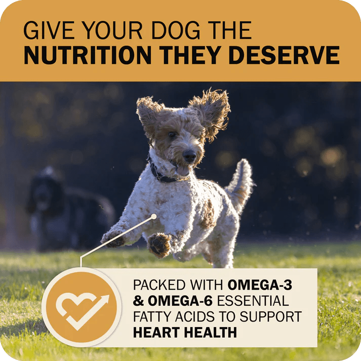 Redbarn Pet Products Powerfood Fusion Whole Grain Sky Mix Chicken Recipe Dry Dog Food - Talis Us