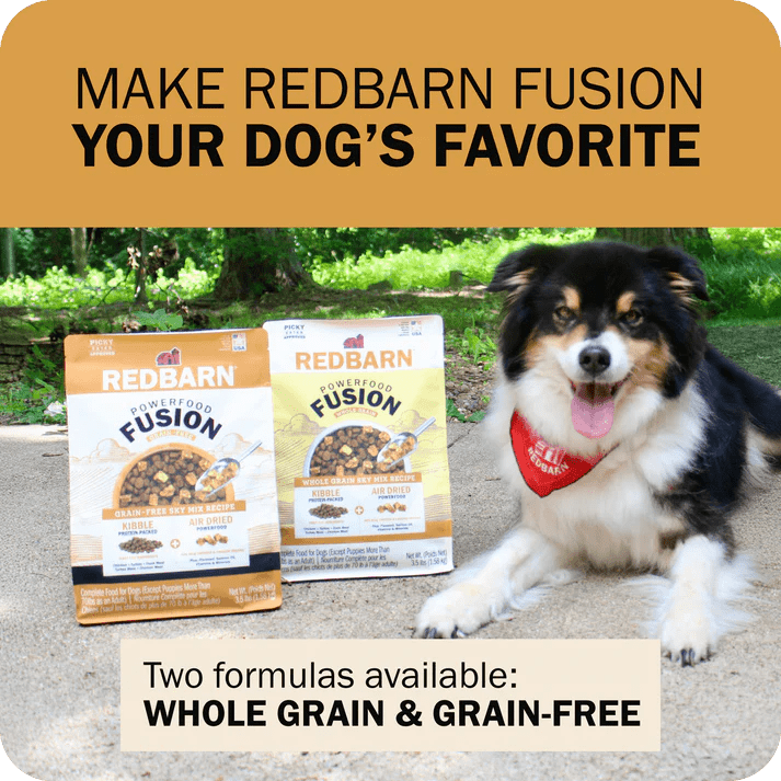 Redbarn Pet Products Powerfood Fusion Whole Grain Sky Mix Chicken Recipe Dry Dog Food - Talis Us