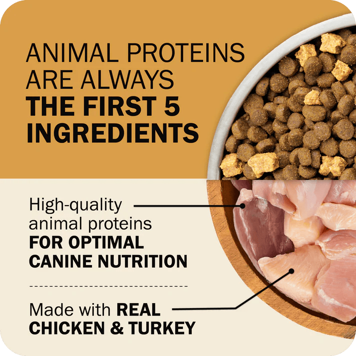 Redbarn Pet Products Powerfood Fusion Whole Grain Sky Mix Chicken Recipe Dry Dog Food - Talis Us