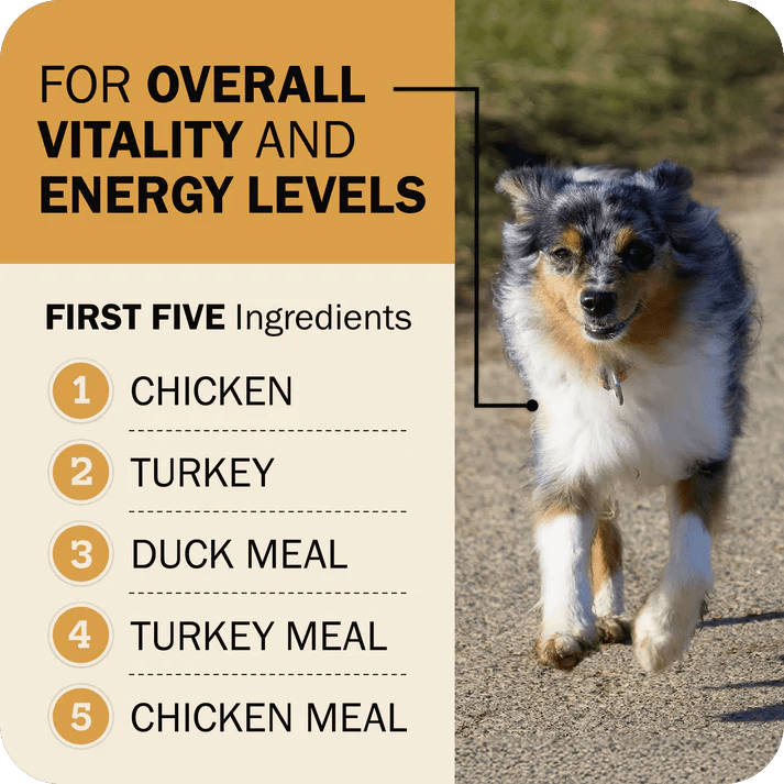 Redbarn Pet Products Powerfood Fusion Whole Grain Sky Mix Chicken Recipe Dry Dog Food - Talis Us