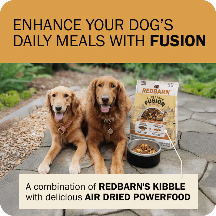 Two golden retrievers with a bowl of Redbarn Powerfood Fusion chicken dog food outdoors