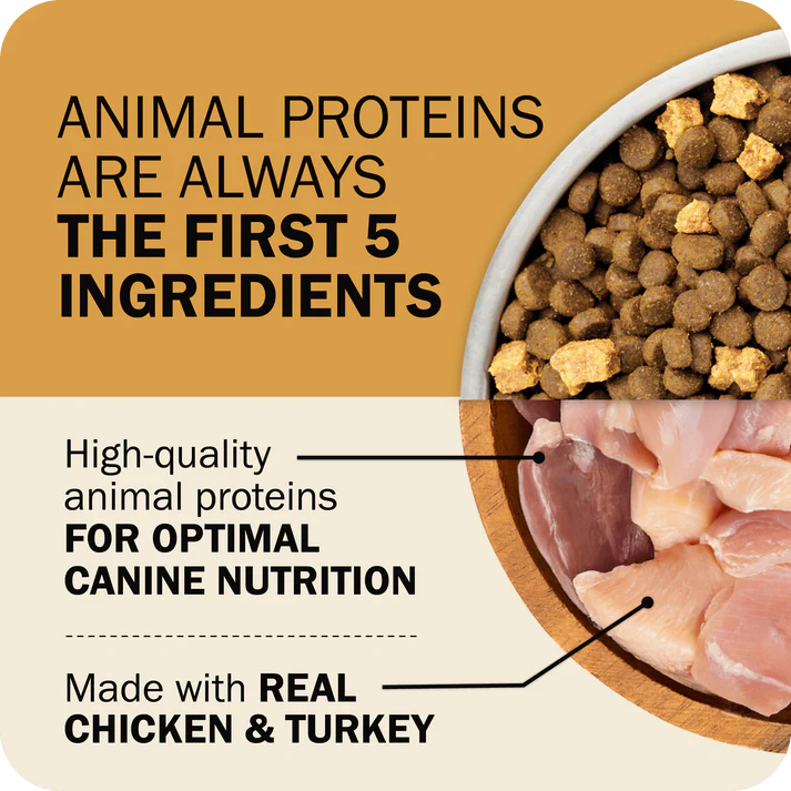 Redbarn Powerfood Fusion chicken dog food featuring real chicken and turkey as main ingredients