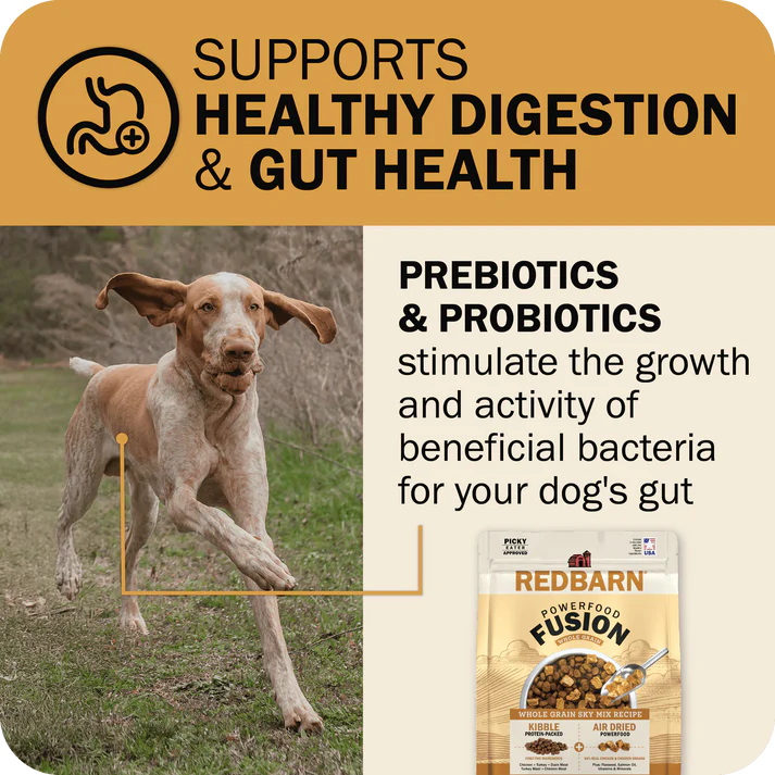 Redbarn Powerfood Fusion chicken dog food supports healthy digestion and gut health with prebiotics and probiotics