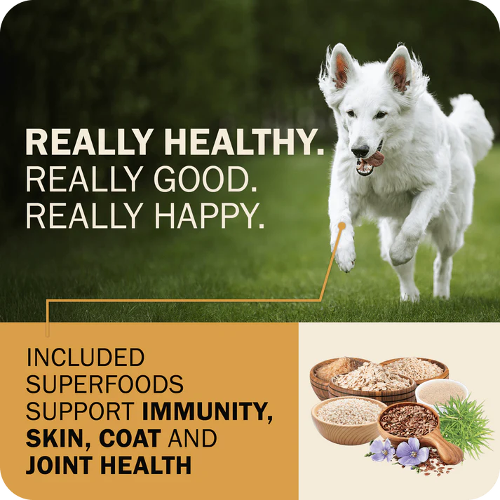 Redbarn Powerfood Fusion chicken dog food with superfoods for immunity, skin, coat, and joint health