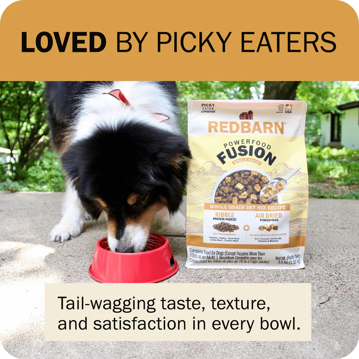 Dog enjoying Redbarn Powerfood Fusion chicken dog food from a red bowl outdoors