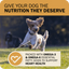 Happy dog running outdoors with note on nutrition from Redbarn Powerfood Fusion chicken dog food