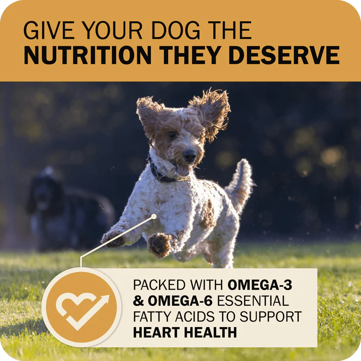 Happy dog running outdoors with note on nutrition from Redbarn Powerfood Fusion chicken dog food