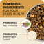 Redbarn Powerfood Fusion chicken dog food in a bowl highlighting probiotics and prebiotics for dog health