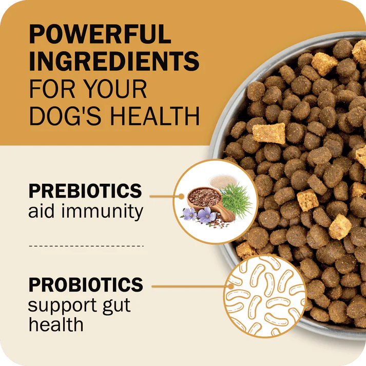 Redbarn Powerfood Fusion chicken dog food in a bowl highlighting probiotics and prebiotics for dog health