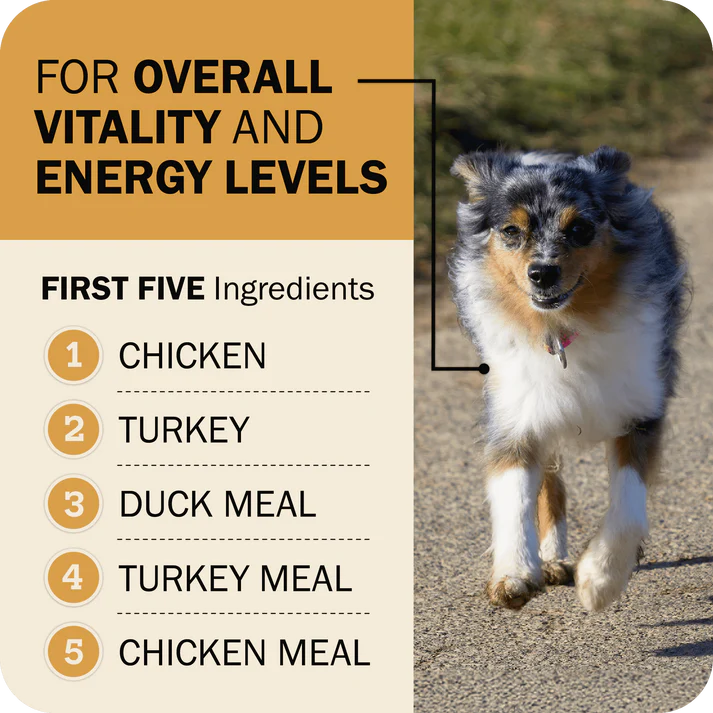 Redbarn Powerfood Fusion chicken dog food emphasizes overall vitality with chicken, turkey, and duck ingredients.