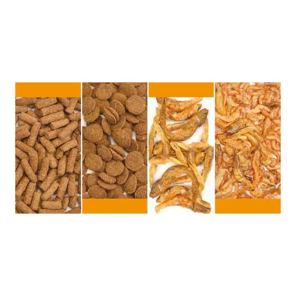 Reptile Systems A La Carte Turtle Mix 4.4oz - Talis Us