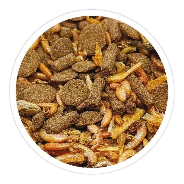 Reptile Systems A La Carte Turtle Mix 4.4oz - Talis Us