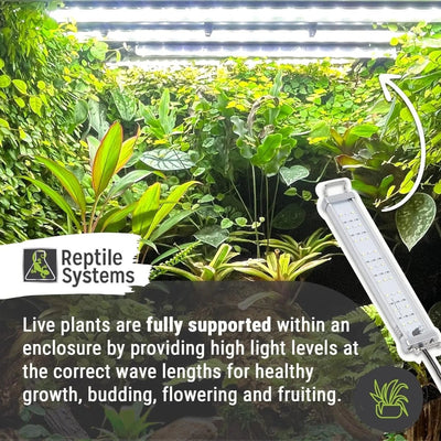 Reptile Systems Proten LED Light Bar Terrarium Vivariums Plant Lamp - Talis Us