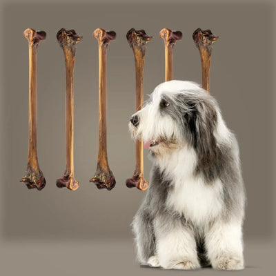 Roam Pet Treats Forever Bone Long Lasting Ostrich Dog Bone - Talis Us