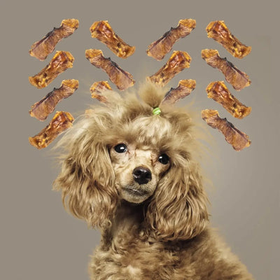 Roam Pet Treats Ossy Chops Ostrich Dog Chew - Talis Us