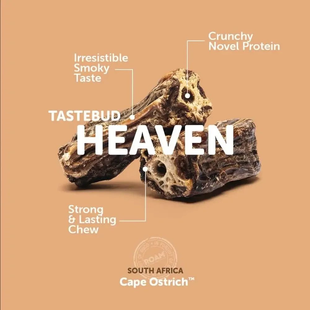 Roam Pet Treats Ossy Cuts Ostrich Neck Dog Chew for Small to Medium Dogs - Talis Us