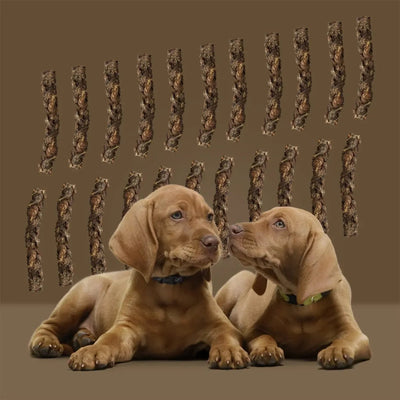 Roam Pet Treats Ossy Hide Twists Ostrich Dog Chew - Talis Us