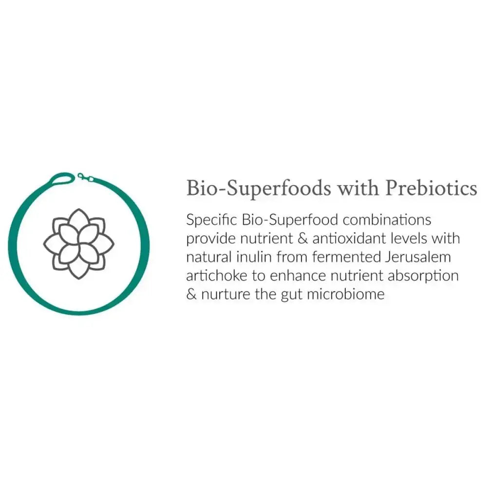 Rockster Sunday Roast Lamb Wet Dog Food 12 / 12 oz - Talis Us