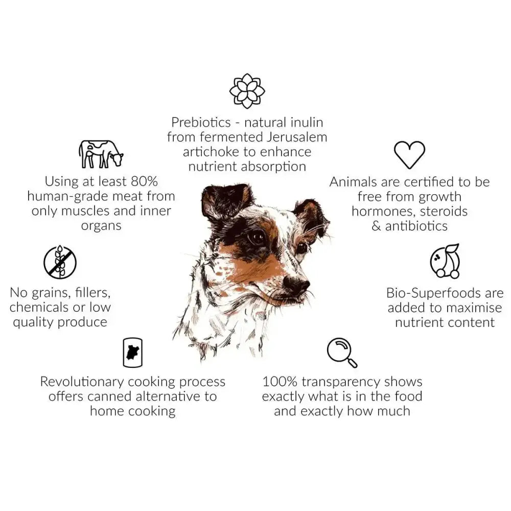 Rockster Sunday Roast Lamb Wet Dog Food 12 / 12 oz - Talis Us