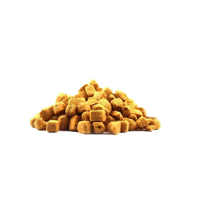 Rocky Mountain Raw Freeze - Dried Salmon Dog Treats 50g - Talis Us