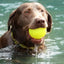 Ruff Dawg, Ball Tough Dog Chew Toy - Talis Us