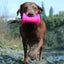 Ruff Dawg Crinkit Rubber & Water - Bottle Tough Dog Toy - Talis Us