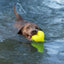 Ruff Dawg Dawg - Hart Tough Rubber Dog Chew Toy - Talis Us