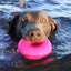 Ruff Dawg, Dawg Nut Tough Dog Chew Toy - Talis Us