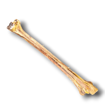 Savannah Ostrich Long Bone Single Ingredient Novel Protein Dog Treat - Talis Us