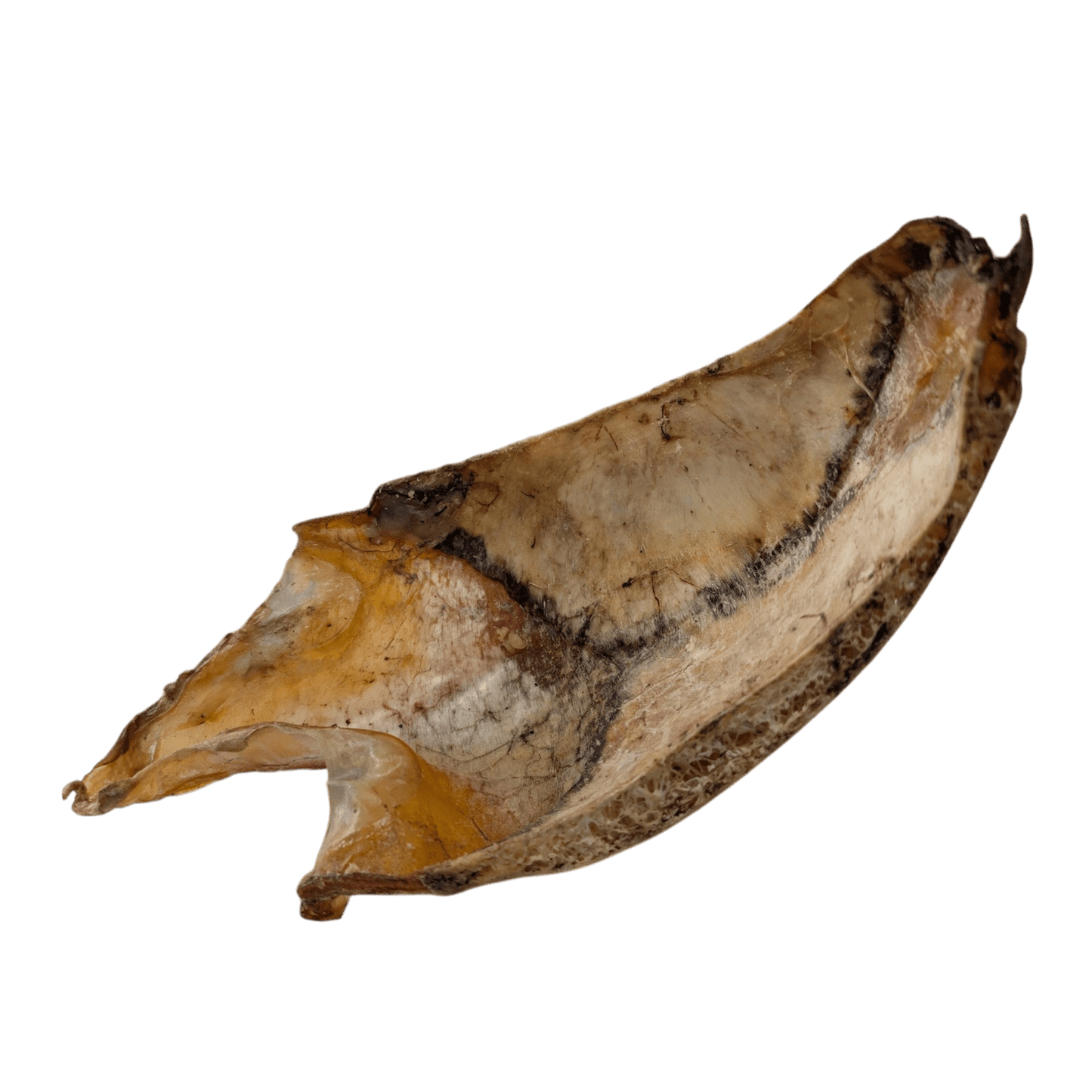 Savannah Pet Chest Bone Treat for dogs, perfect for chewing and promoting dental health