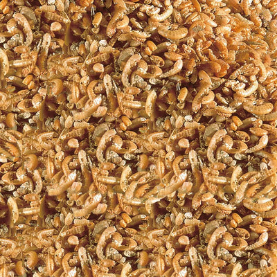 sera Raffy I Nature Reptile Food - Talis Us