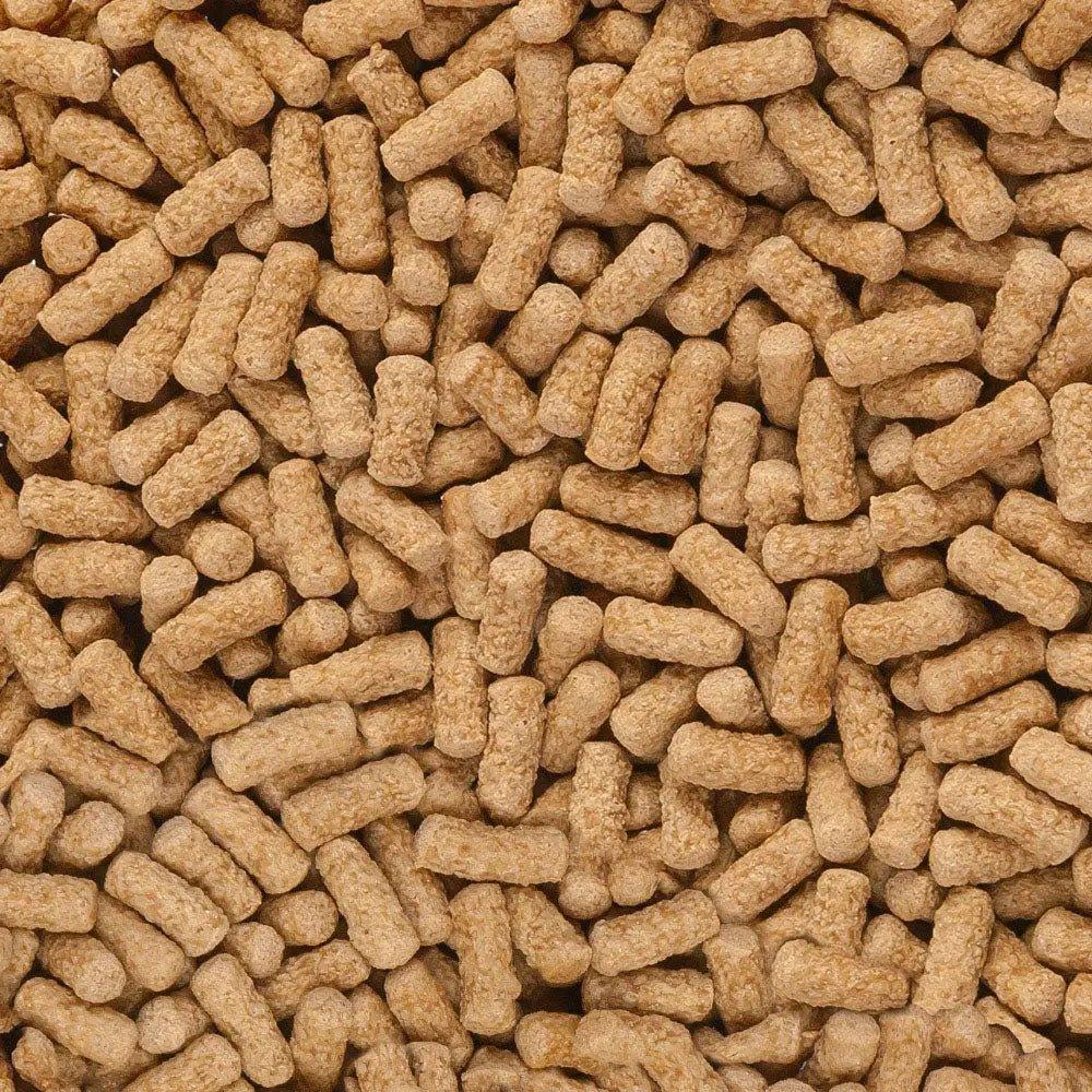 sera Raffy Mineral Pellets Turtle Food 7.6 oz - Talis Us