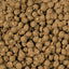 sera Reptil Professional Carnivor Nature Reptile Food - Talis Us