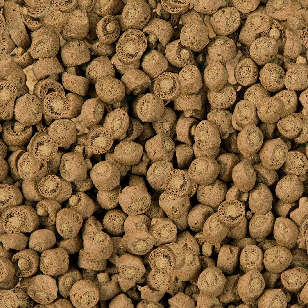 sera Reptil Professional Carnivor Nature Reptile Food - Talis Us
