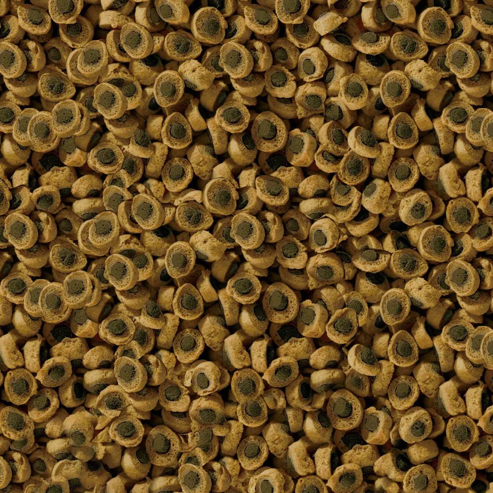 sera Reptil Professional Herbivor Nature Reptile Food - Talis Us