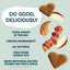 Shameless Pets Bacon It Easy Bacon Flavor Crunchy Dog Treats - Talis Us