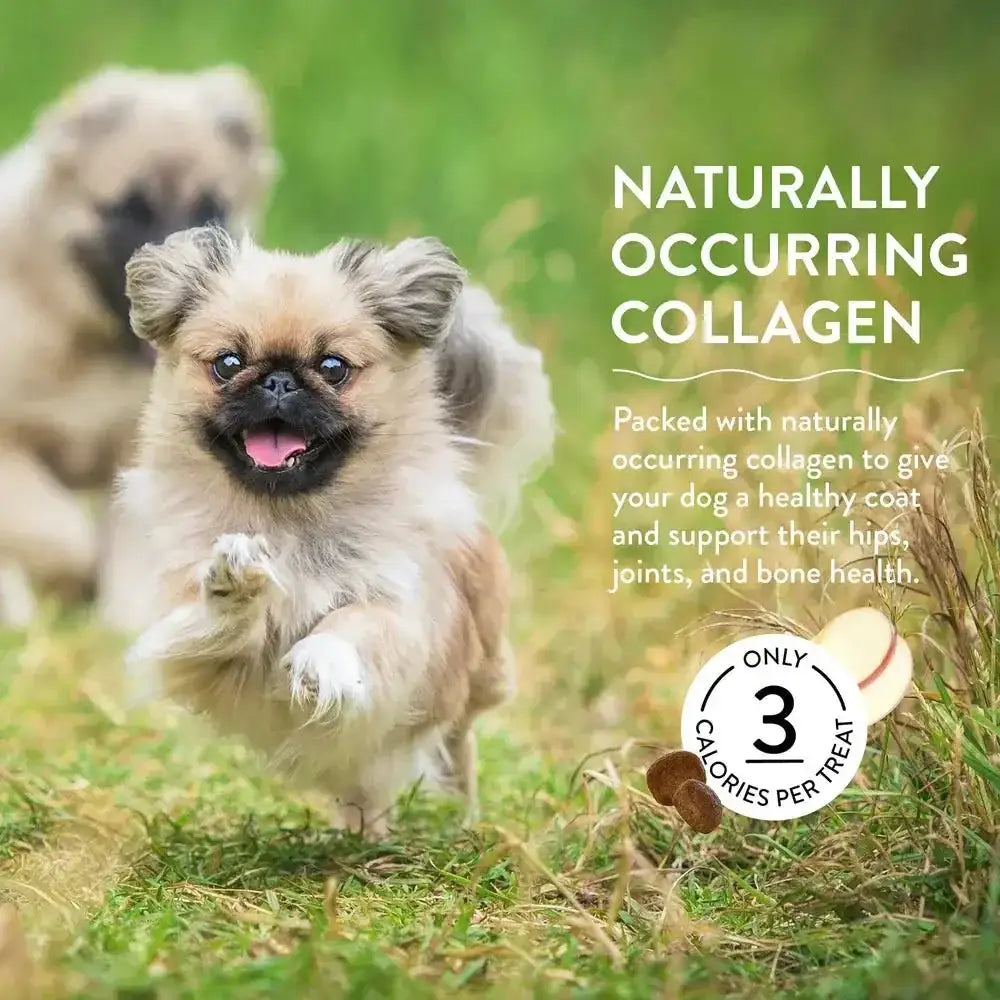 Shameless Pets Bone Broth Chews Bacon Hits Different Dog Treats 8oz - Talis Us