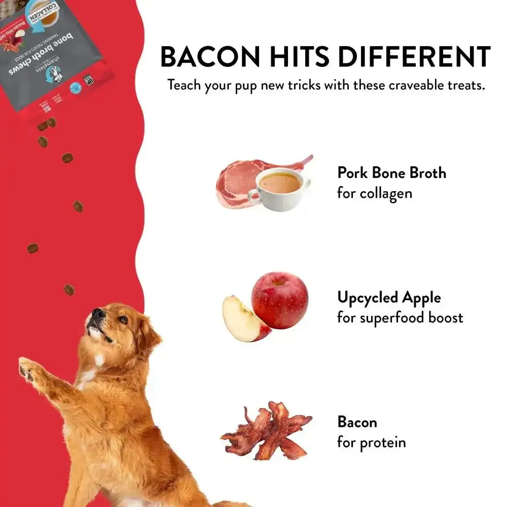 Shameless Pets Bone Broth Chews Bacon Hits Different Dog Treats 8oz - Talis Us