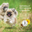 Shameless Pets Bone Broth Chews Peanut Butter Bliss Dog Treats - Talis Us
