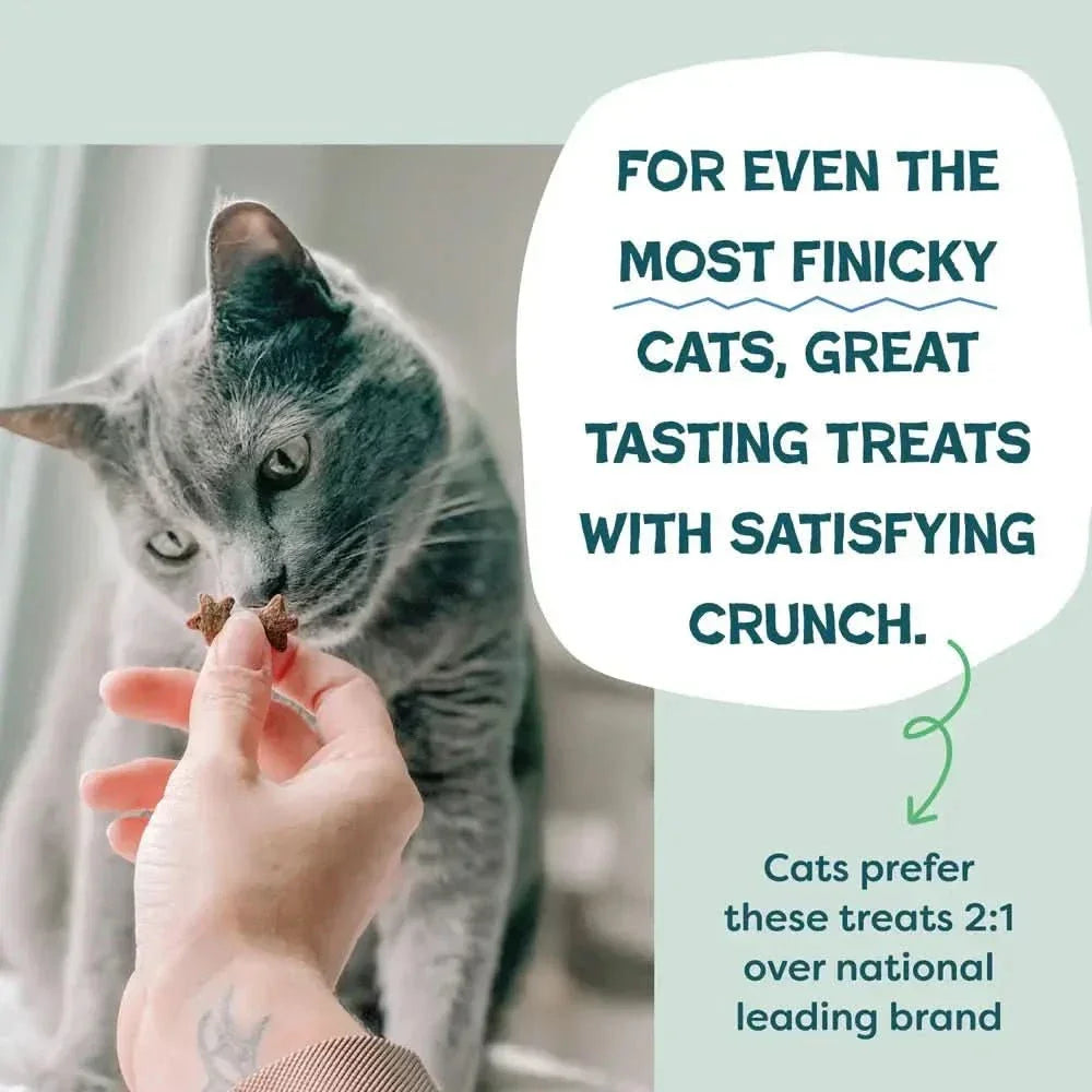 Shameless Pets Catnip N Chill Chicken Liver Crunchy Cat Treats 2.5oz - Talis Us